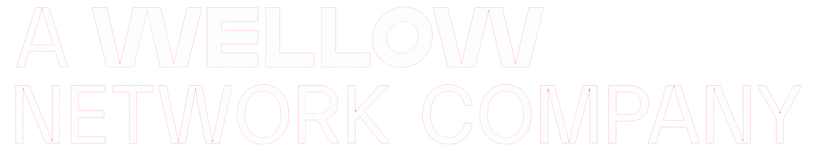 wellow network company 2